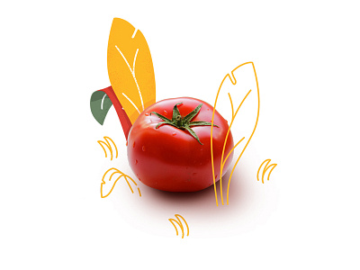 Tomato and Leaves flat fruit illustration leaves photo tomatoes