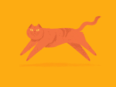 Sfigatto cat gatto illustration ipad orange procreate yellow