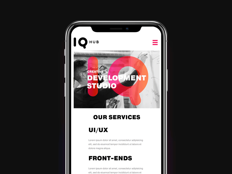 IQ HUB Website - Developer Studio