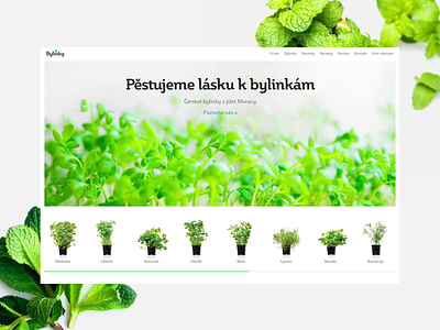 Bylinky – Homepage animation animations brand branding clean cooking design graphics herbal herbs illustration logo motion scroll typography vector website website concept website design websites