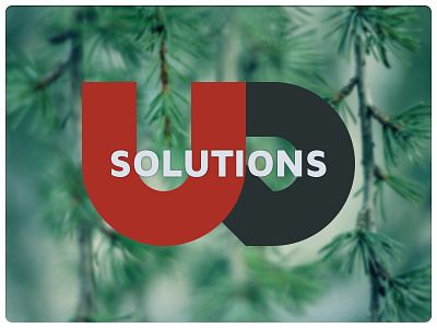 UDS Logo Concept branding company concept logo rebound uds
