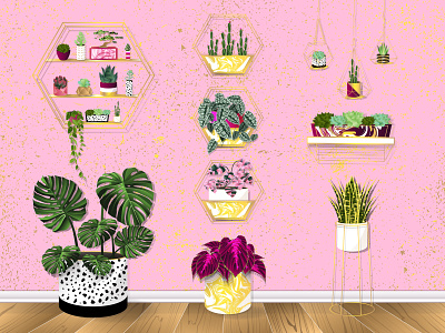 Trendy House Plants cactus gold house plants leaves monstera pink plants room succulents trendy wallpaper wood floor