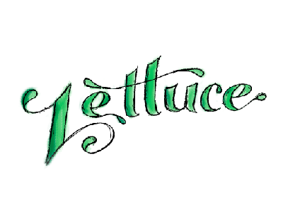More Lettuce lettering sketched