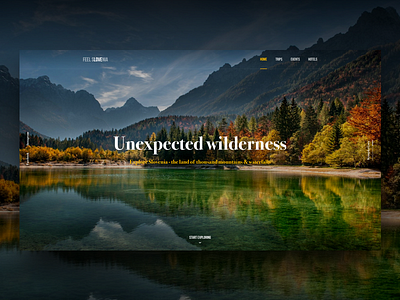 Slovenia Travel Site Concept colors forest header hero lake nature photo travel ui ux web website