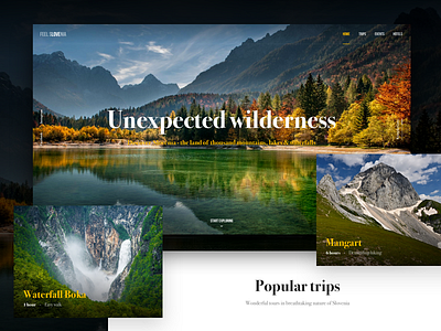 Slovenia Travel Site Concept #2 colors forest header hero lake nature photo travel ui ux web website