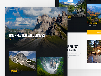 Slovenia Travel Site Concept #7