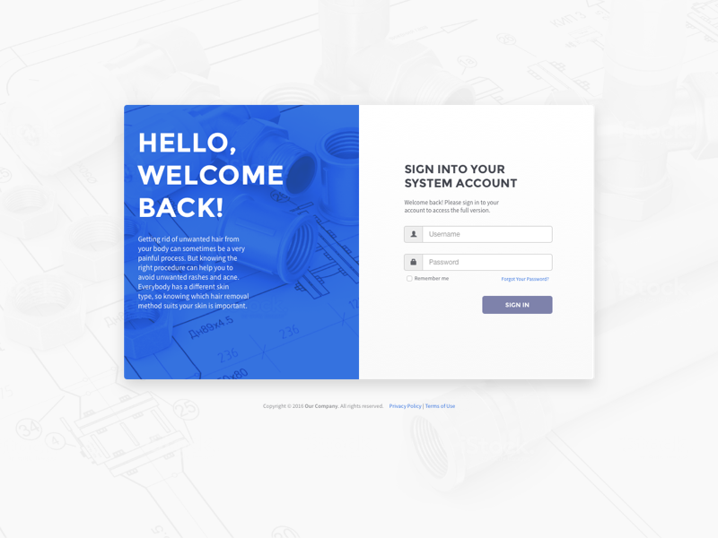 Sign In - B2B System (wip) By Rui Costa For Fall Mtn. On Dribbble