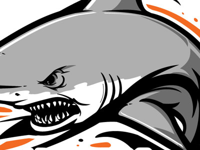 Sarasota Sharks Tee graphics illustration tee design