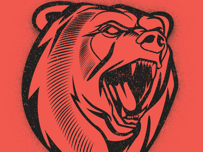 Bear Head graphics illustration tee design