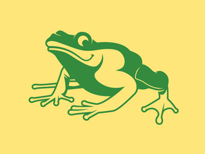 Frog for Branding project branding frog graphics illustration vector design