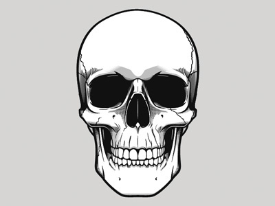 Skull Practice graphics illustration skull t shirt design vector design