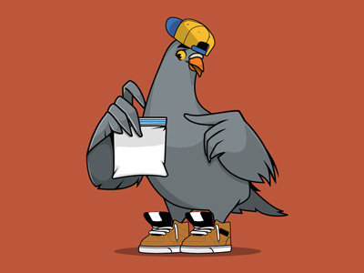 Pigeon With Coke character design illustration pigeon t shirt design vans vector design