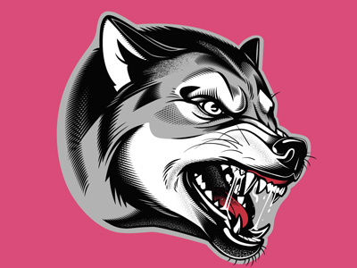 Wolf animals graphics illustration vector design wolf