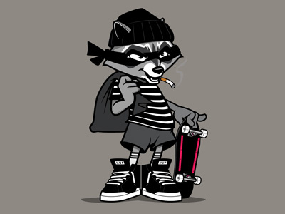 Skate Racoon animals graphics illustration skateboarding sneakers vector design