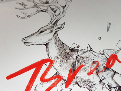 BREAKING Deer apple pencil deer illustration ipad pro sketch
