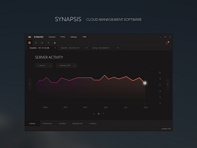 Synapsis - Cloud Management Software app application dashboard design graphic interface pc ui windows