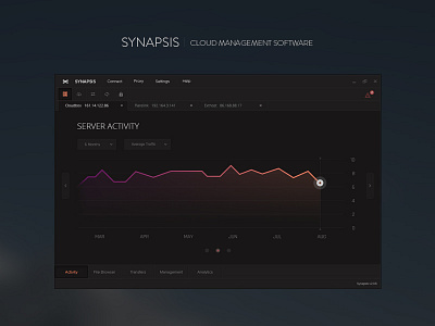 Synapsis - Cloud Management Software