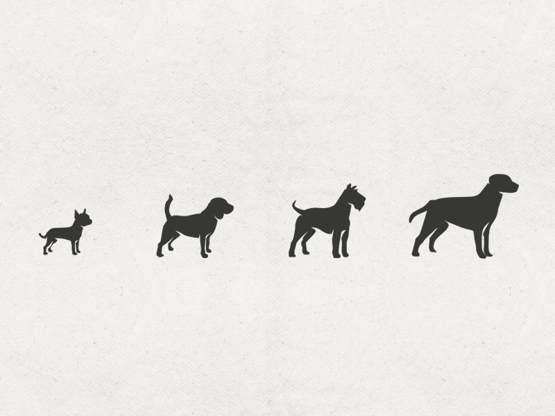 [GIF] WOOF beagle chihuahua dogs icons labrador schnauzer