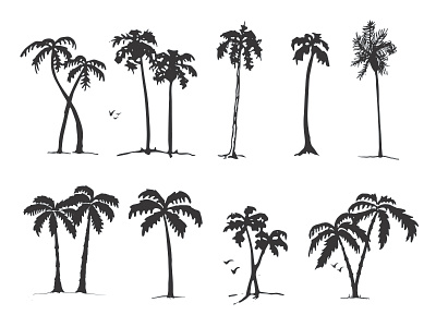 Palm tree exploration illustration palm trees sketch vector