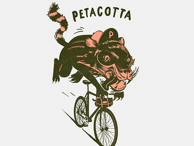 Petacotta Digital Illustration Drawing animation branding graphic design logo