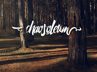 Chaosoleum calligraphy lettering type typeface typography