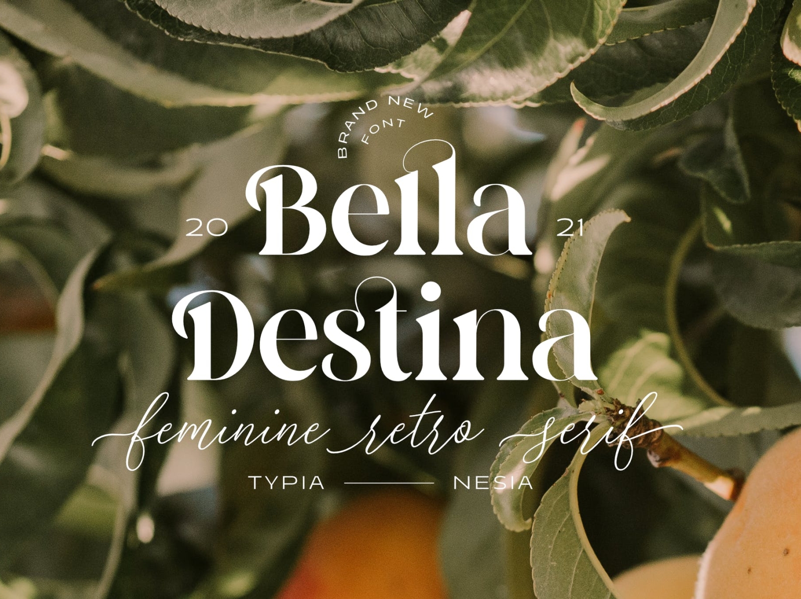 Bella Destina Romantic Font