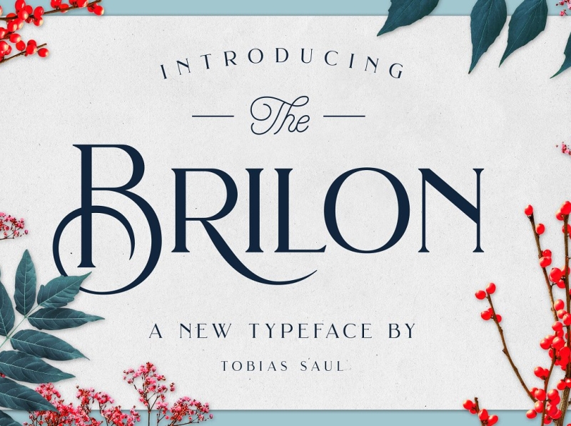 Brilon Font + Extras app branding design display display font font graphic design illustration logo logofont typeface typography ui ux vector