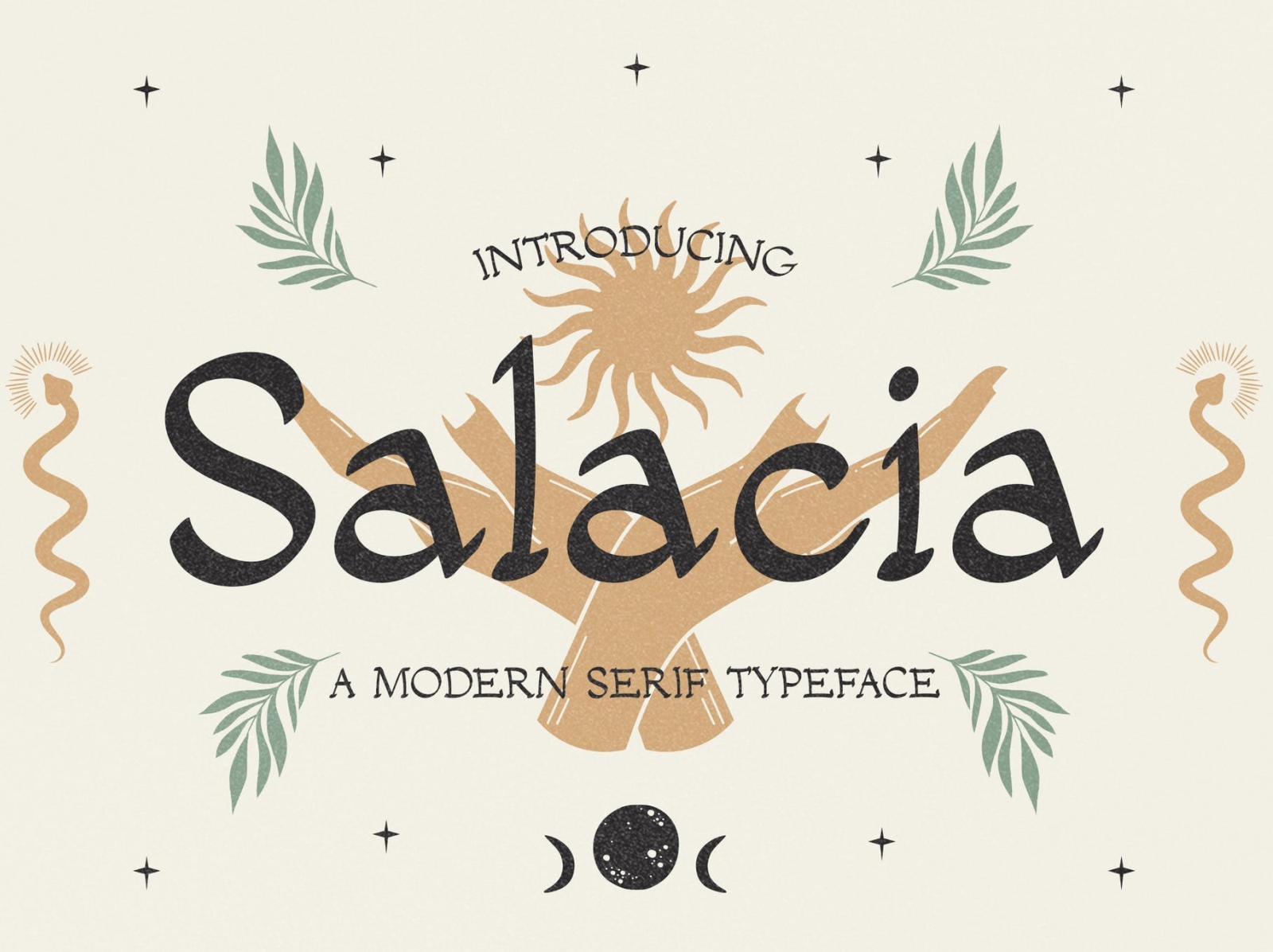 Salecia Modern Typeface animation app branding design display display font font graphic design illustration logo modern typeface typography ui ux vector