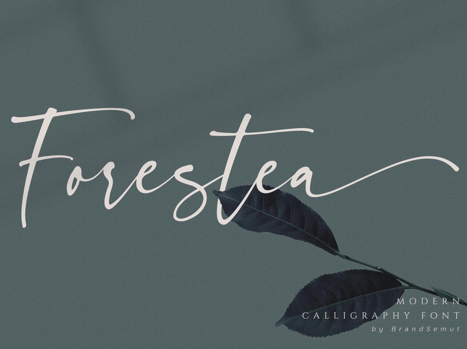 Forestae - Classy Script Font