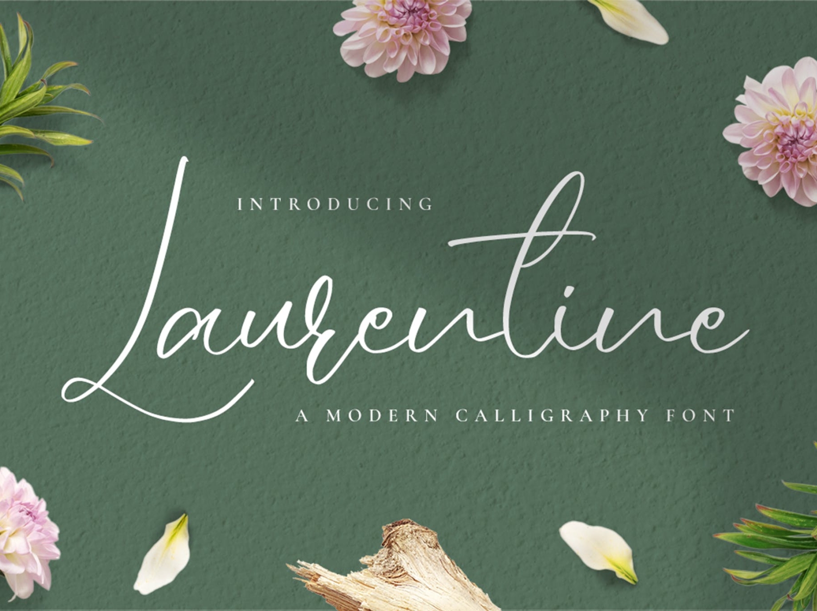 Laurentine Wedding Font app branding design display display font font graphic design illustration logo romantic typography ui ux valentine vector wedding wedding font