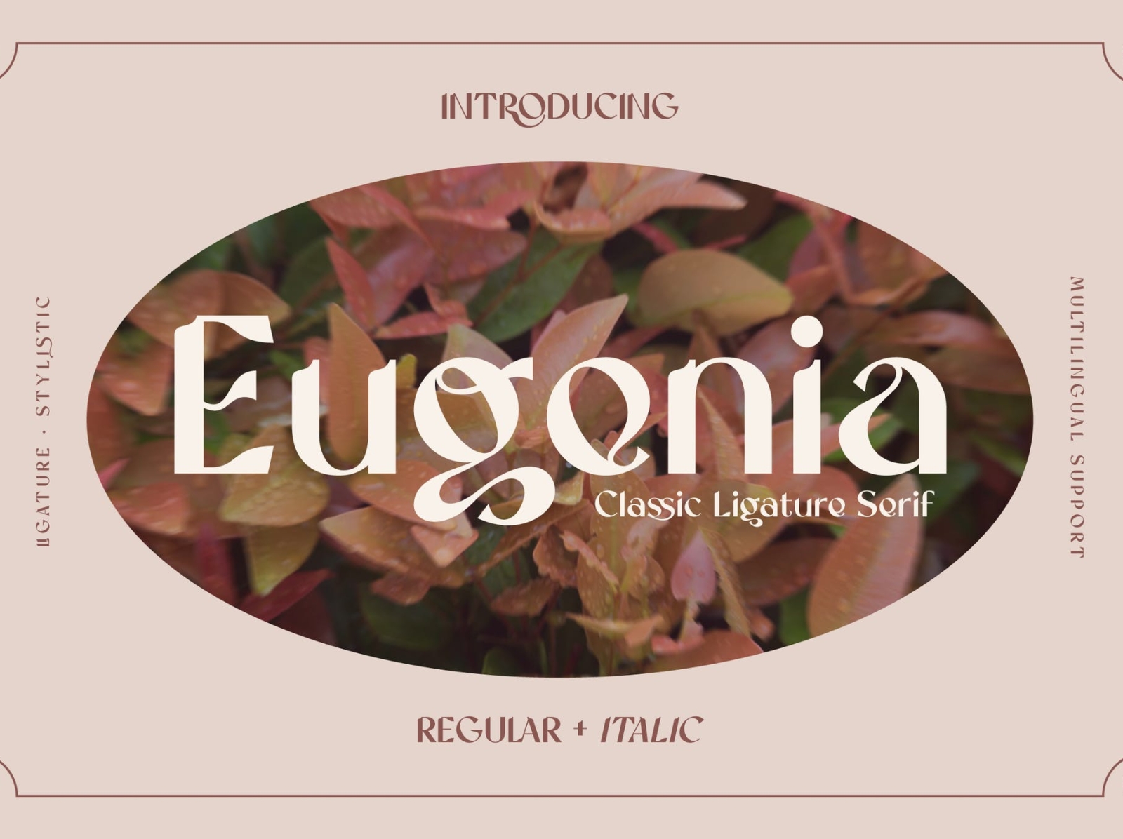 Eugenia Vintage Serif Font app branding design display font graphic design illustration logo sans serif font serif typography ui ux vector vintage