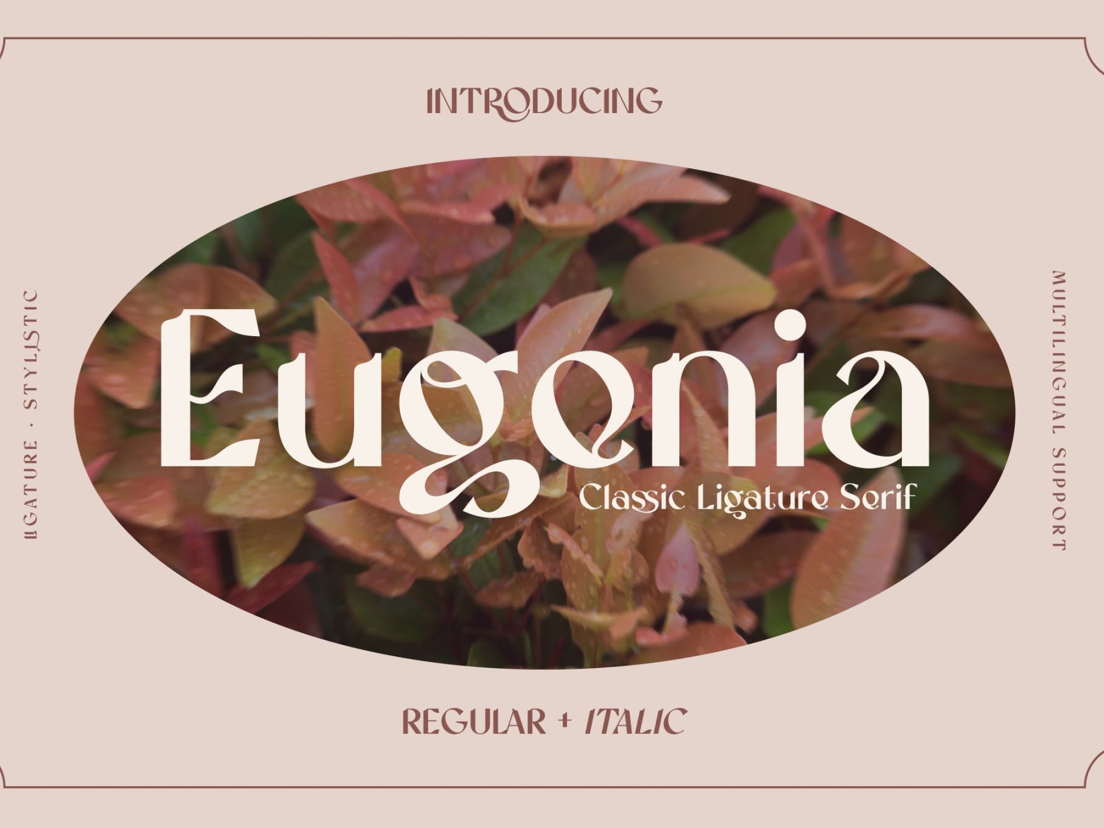 Eugenia Vintage Font