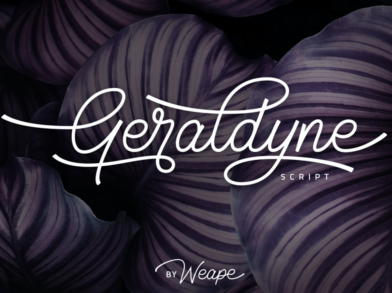 Geraldyne Font by Display Fonts on Dribbble