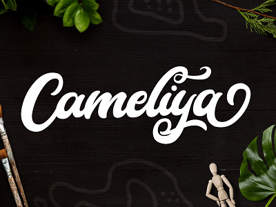 Cameliya Typeface app bold bold font branding design display font graphic design illustration logo serif typeface typography ui ux vector