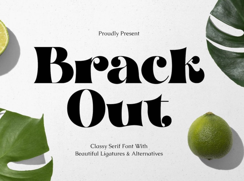 Brack Out Font app branding design display display font font graphic design illustration logo serif typeface typography ui ux vector