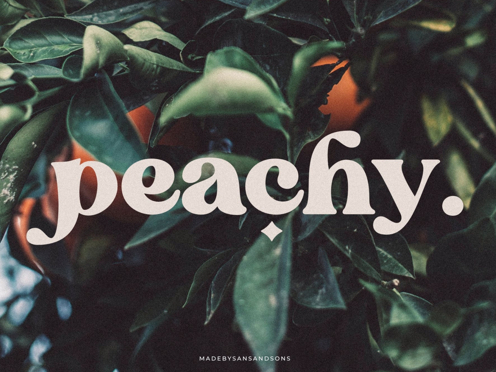 Blanch Sage - Display Font