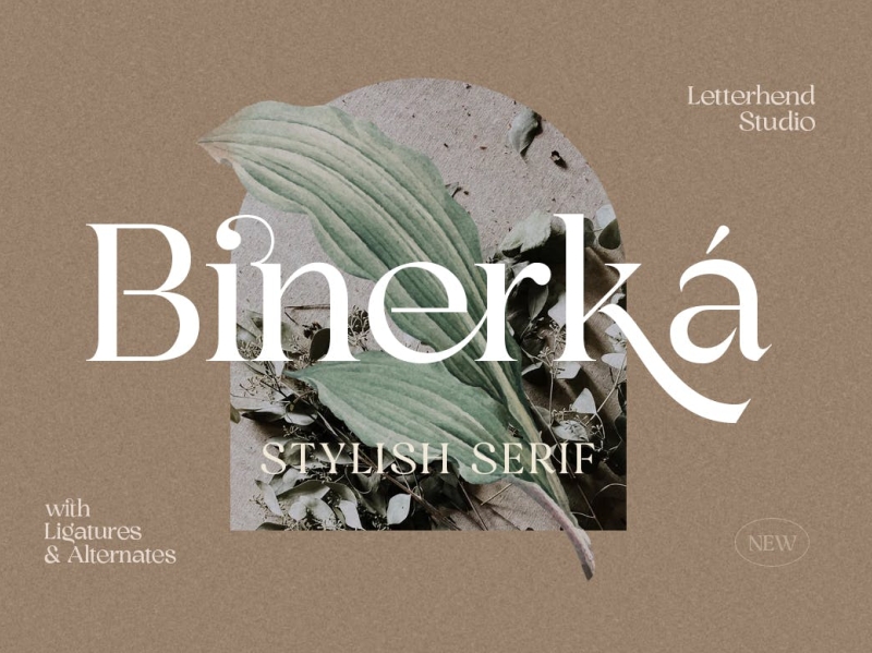 Binnerka Font app branding design display font graphic design illustration logo serif stylish typeface typography ui ux vector