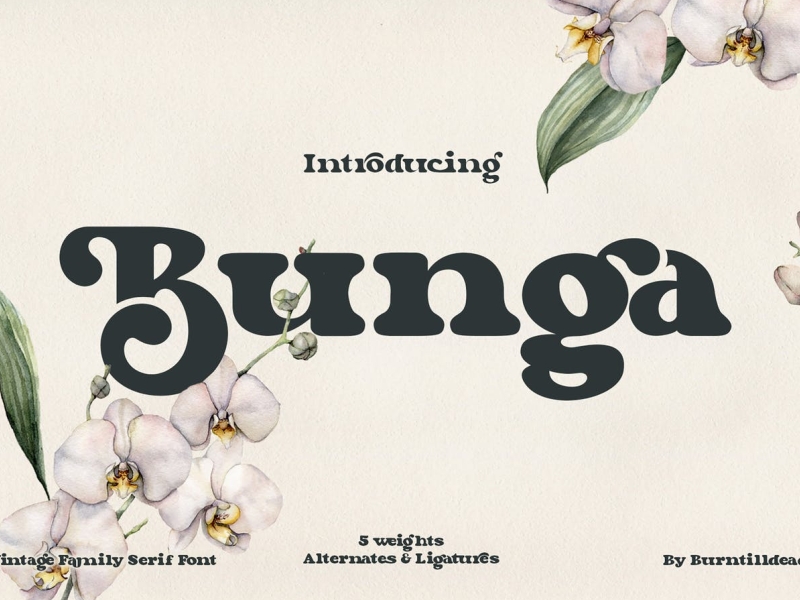 Bunga - Retro Inspired Font app bold font branding design display font graphic design illustration logo retro serif typeface typography ui ux vector vintage