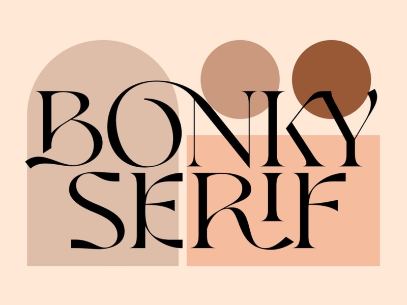 Bonky Serif Font app branding design display display font elegant font graphic design illustration logo serif typeface typography ui ux vector
