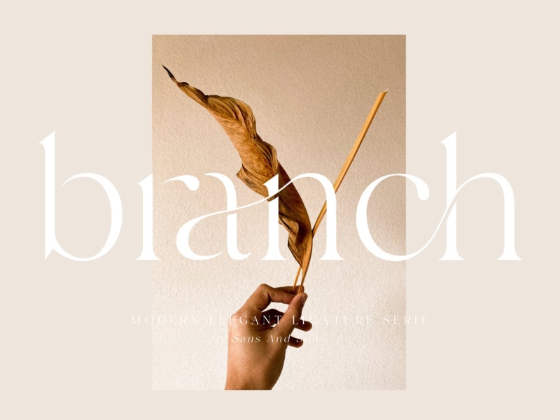 Branch Ligature Font app branding design display fashion font graphic design illustration logo luxury serif typeface typography ui ux vector wedding