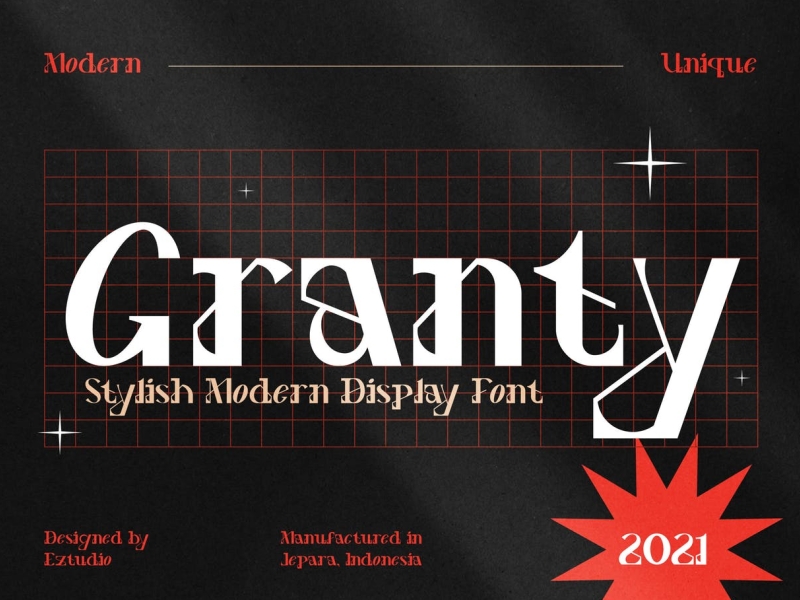 Grannty app branding business classic decorative design display font graphic design illustration logo serif typeface typography ui ux vector