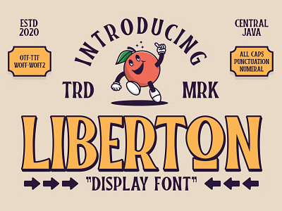 LIBER-TON DISPLAY FONT app badge branding classic design display font graphic design illustration logo retro serif typeface typography ux vintage