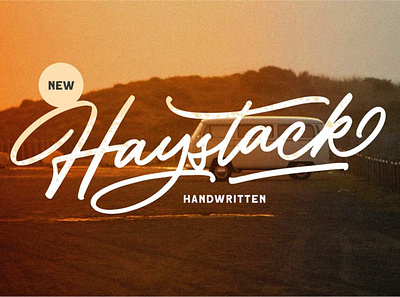 Haystack - Handwritten Script Font branding design display font graphic design handwritten illustration logo script serif typeface typography