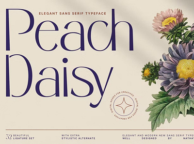 Peech Daisy Font branding design display font graphic design illustration logo serif typeface typography