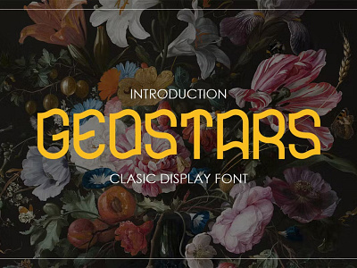 GEOSTARS - Display Font branding design display display font font graphic design illustration logo serif typeface typography