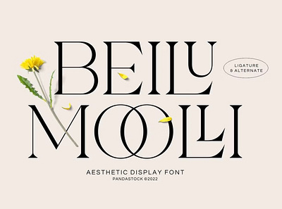 Beliu Mooli Font branding design display display font font graphic design illustration logo serif typeface typography