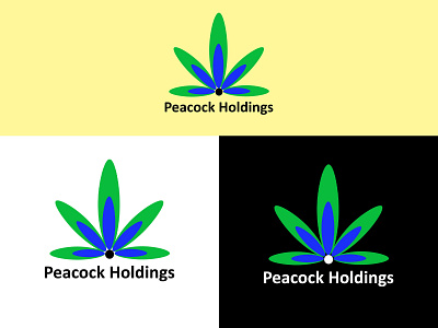 Peacock Holdings adobe photoshop design graphic design graphics logo logo design logo designing peacock holdings photoshop