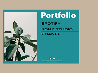 Minimalist portfolio