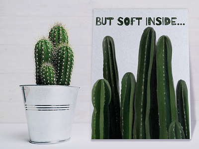 Poster with cactus about its softness inside