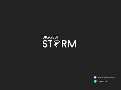 Biggest storm branding design graphic design illustration logo typography